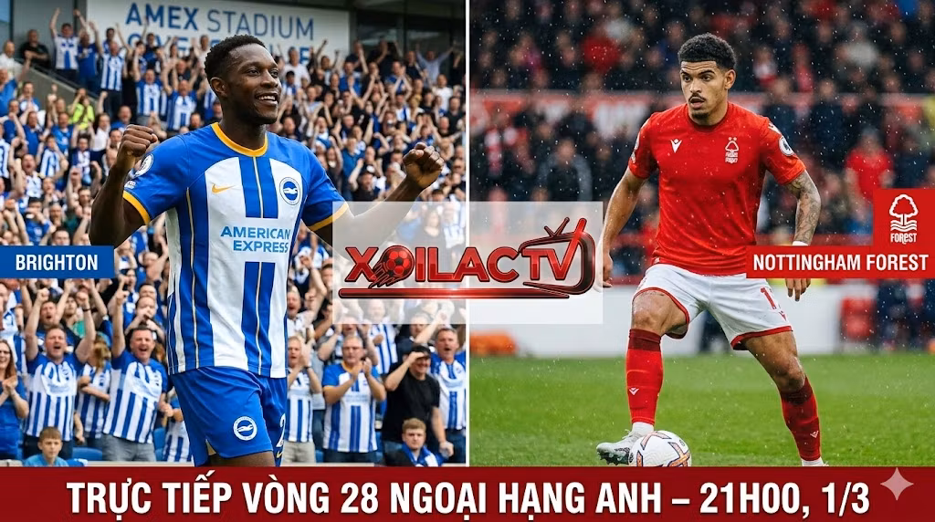 Nhận định Brighton vs Nottingham Forest: Welbeck đối đầu Gibbs-White tại Amex – Xoilac TV