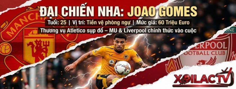 Tiền vệ Joao Gomes trở thành mục tiêu tranh giành của Manchester United và Liverpool - Cập nhật tin chuyển nhượng bóng đá mới nhất tại Xoilac TV.